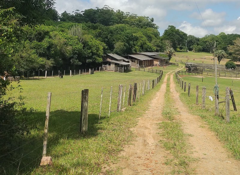 Rural - Venda - Passo da Areia - Viamo - RS