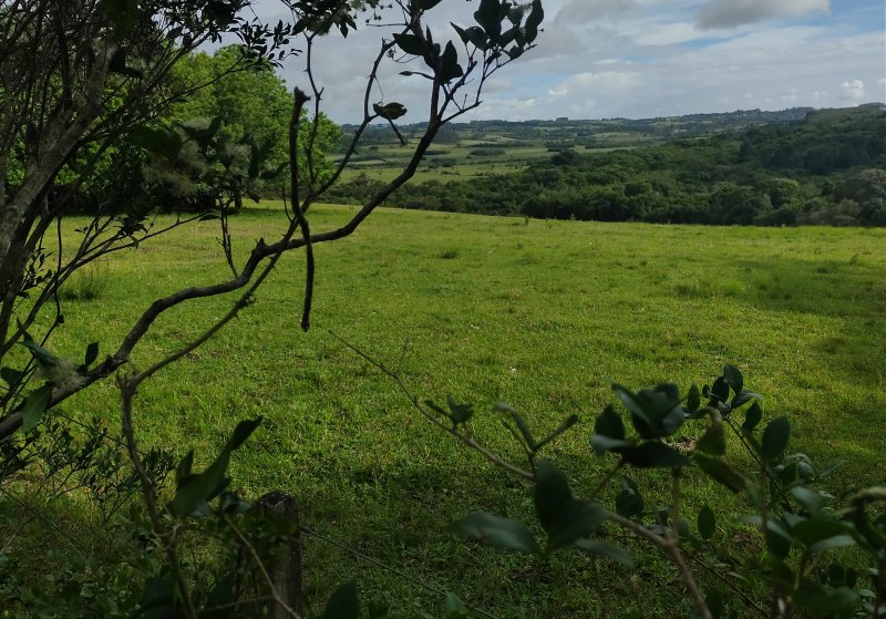 rea - Venda - Passo do Pesqueiro - Viamo - RS