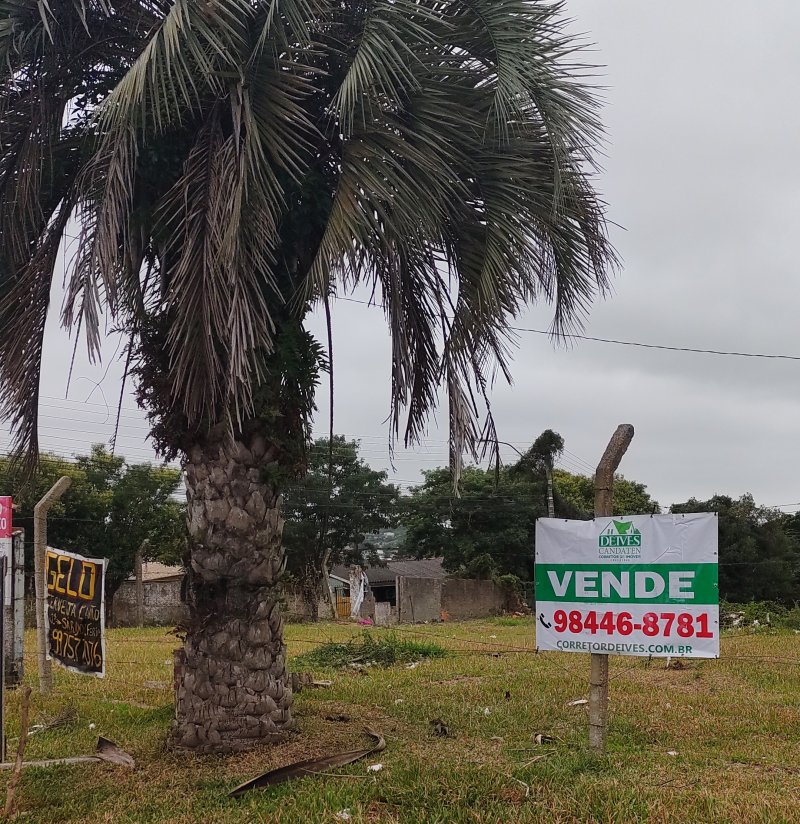 Terreno - Venda - Martinica - Viamo - RS
