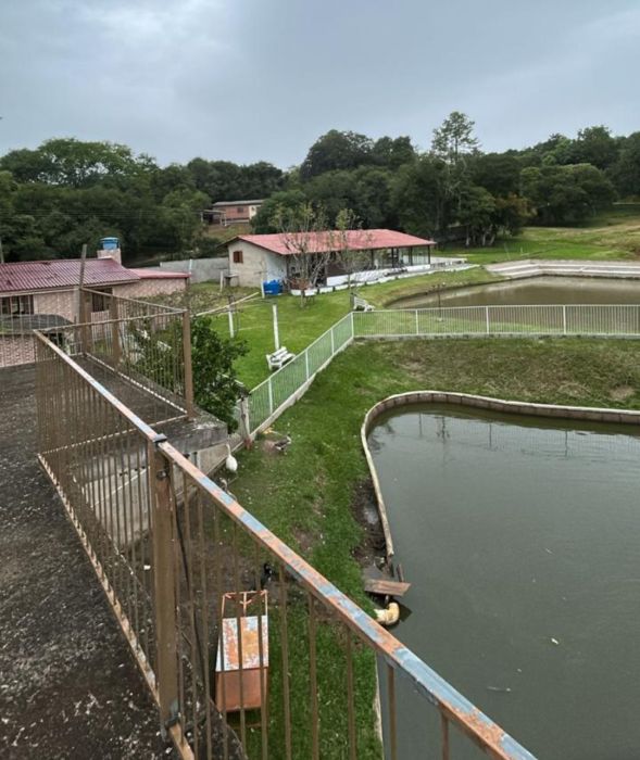 S�tio - Venda - S�tio S�o Vicente - Viam�o - RS